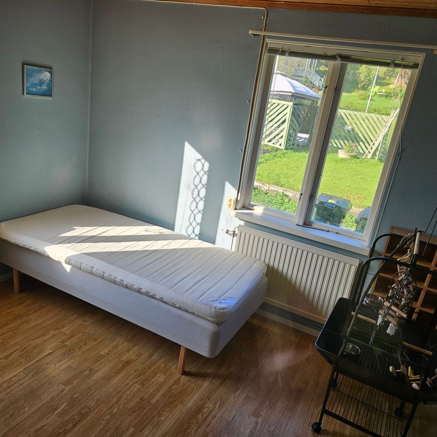 Strömforsvägen, Boliden - Photo 1