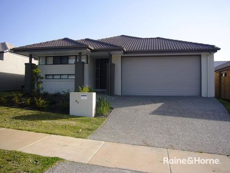 43 Lakes Entrance Drive, Springfield Lakes QLD 4300 - House For Rent - $560 | Domain - Photo 4