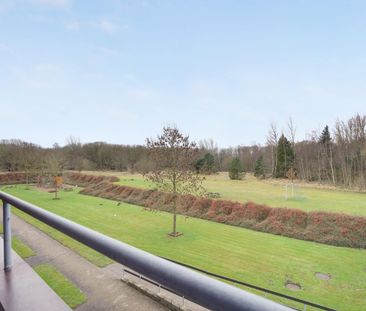 Stor og rummelig lejlighed - Photo 3