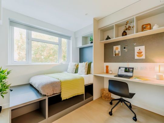 Gold Plus Studio With Balcony - Photo 1