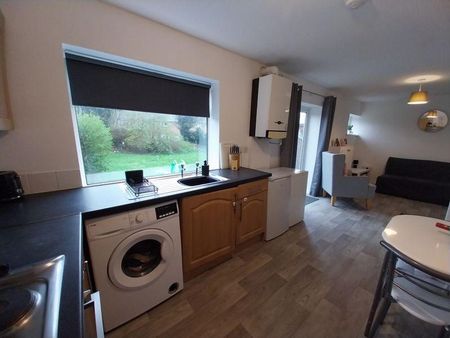 Caerau Lane, Caerau, Cardiff - Photo 5