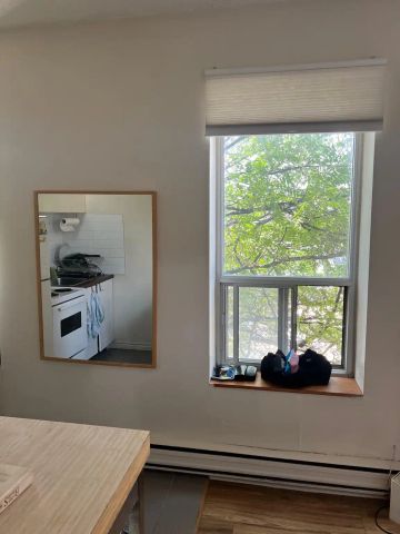 Gladstone Suites — Large Bright 1 bedroom - Photo 4