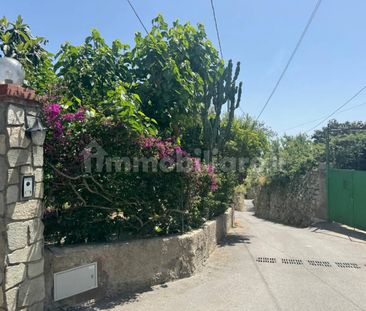 Appartamento via Succhivo, Sant'angelo, Serrara Fontana - Photo 6