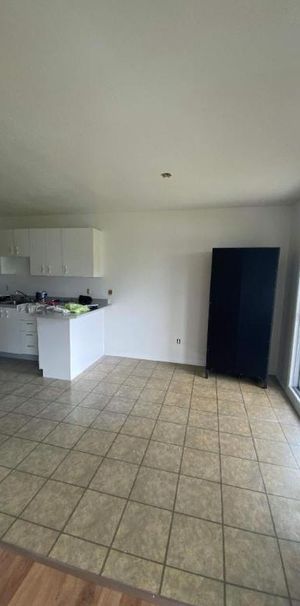 GRAND ET LUMINEUX 4.5 DISPONIBLE 1er SEPTEMBRE 2025 - Photo 1