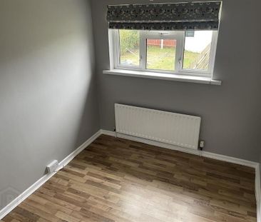 10 Malachy Conlon Park, Culloville, Newry, BT35 9AN - Photo 4