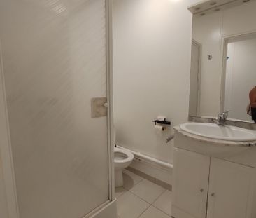 Location Appartement 1 pièce 20m² - Photo 2