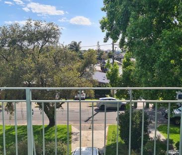 16 San Michele Street, Tugun QLD 4224 - House For Rent | Domain - Photo 4