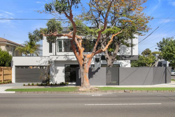 55 Thomas Street, Brighton East VIC 3187 - Townhouse For Rent | Domain - Photo 1