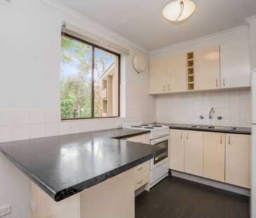 66/58 Wattle Street, Lyneham ACT 2602 - House For Rent | Domain - Photo 5