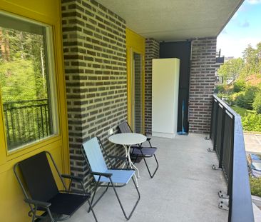 Gaffelseglet, Vega - Photo 1