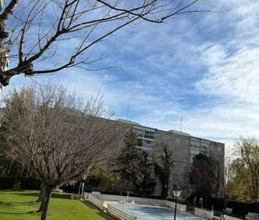 Calle de la Codorniz, Madrid, Community of Madrid 28047 - Photo 6