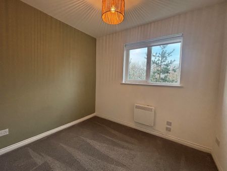 East Greenlees Gardens, South Lanarkshire, Cambuslang, G72 8DB - Photo 3