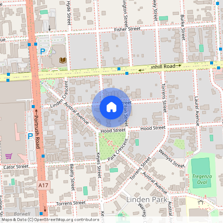 12 Jellicoe Street, SA 5065, Linden Park