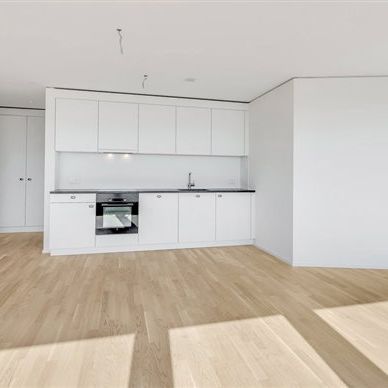 3.5 Zimmer, 17. Stock - Photo 1