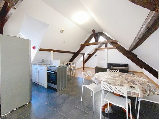 Location Appartement 3 pièces 50m² OBERSCHAEFFOLSHEIM 67203 - Photo 1