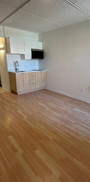 Studio - Saint-Charles-Borromée - $1,049 /mo - Photo 1