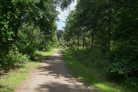 Te huur: Huis Geinoord in Nieuwegein - Foto 5