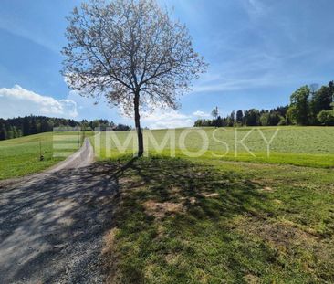 Ihre private Oase: Garten, Holzofen und Ruhe vereint - Foto 5