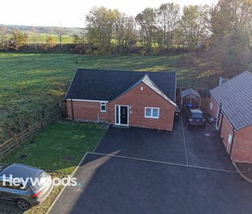 2 bed bungalow to rent in Calvin Court, Holt Lane, Kingsley, Stoke-... - Photo 6