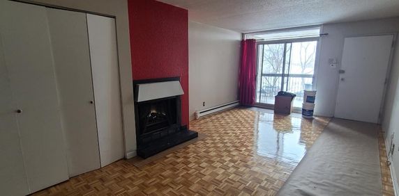 Grand 3 1/2 spacieux et lumineux - Photo 2