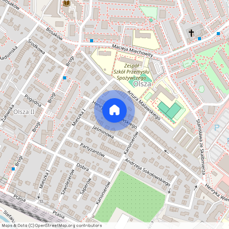 ul. Henryka Wieniawskiego, Olsza, Prądnik Czerwony, Kraków, małopolskie