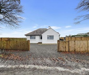 3 bedroom bungalow to rent - Photo 1