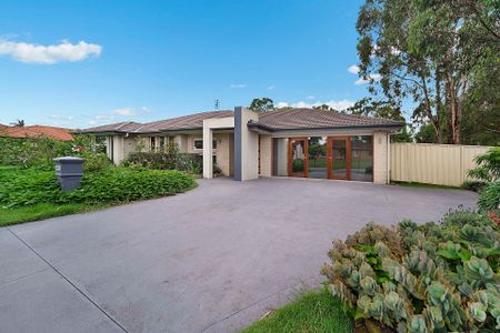 33 Ferraby Drive, Metford. - Photo 3