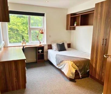 Peninsula Student Living, Derriford - Photo 5