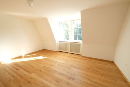 6.5 Zimmer, 308 m², 1. Stock - Photo 3