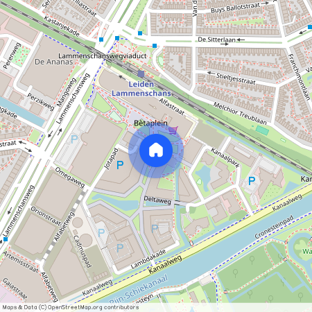Omegaplantsoen, 2321 KT, Leiden
