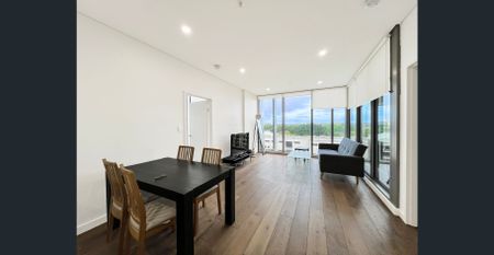 1002/16 Gadigal Ave, Waterloo, NSW 2017 - Photo 2