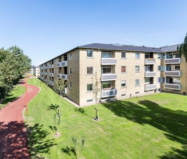 Afd. 24 Ungskuepladsen - Photo 4