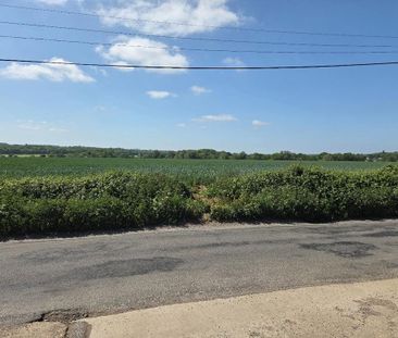 1 bedroom bungalow to rent - Photo 2