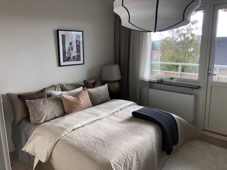 Bispmotalagatan - Foto 2