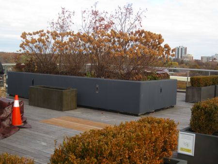 For Lease - 835 St. Clair Avenue Unit# 402, Toronto, Ontario - Photo 4