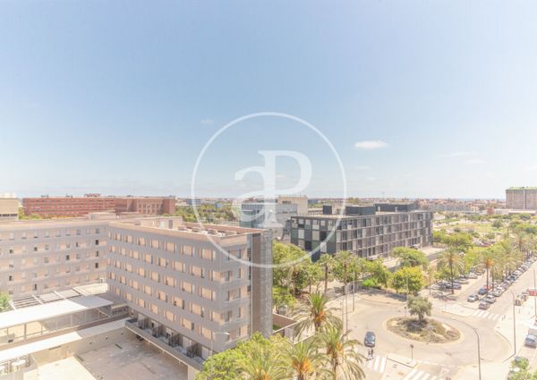 Flat for rent with Terrace in Ciutat Jardí (Valencia)
