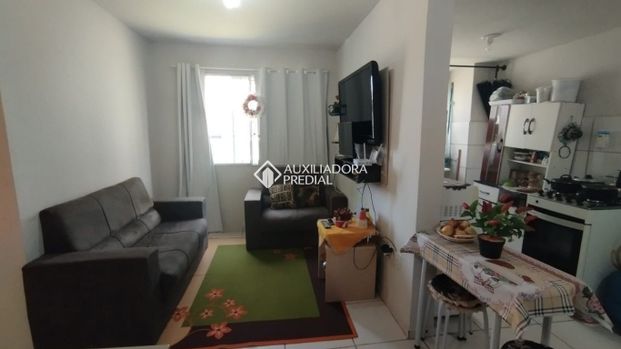 Apartamento com 2 quartos e 50m² para alugar em Chapéu do Sol, Porto Alegre. - Photo 1