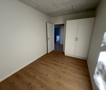 NYBYGGET, ENERGIVENLIGE OG MODERNE RÆKKEHUSE TIL LEJE PÅ JOHAN DEN ... - Photo 2