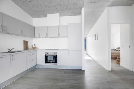 Nyopført 4-værelses rækkehus på Jernaldervej i Nørresundby - Photo 4