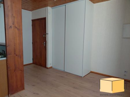 Location Appartement 1 pièce 28m² ST GENIX LES VILLAGES 73240 - Photo 3