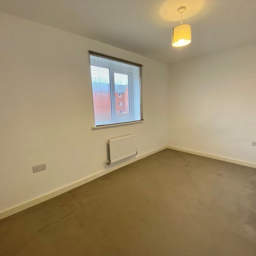 Hampton Gardens - Photo 1