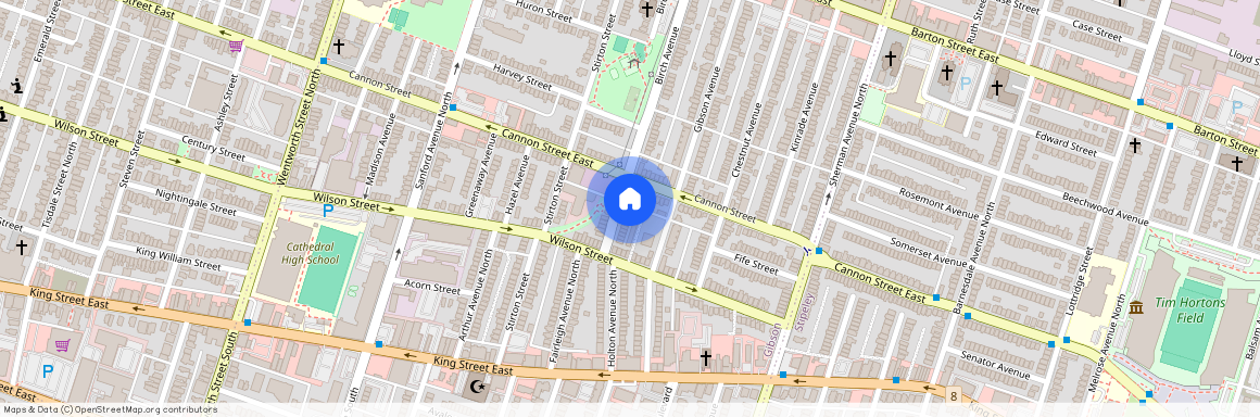 20 Birch Avenue, Hamilton