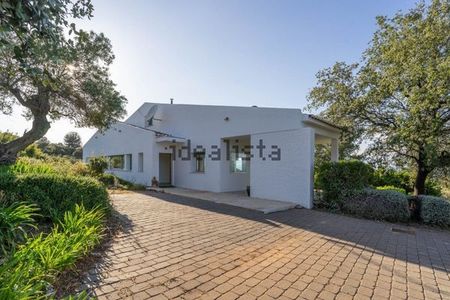 Alquiler de casa o chalet independiente en Ardelejos - Cuesta de la Palma - Buenavista - Photo 2