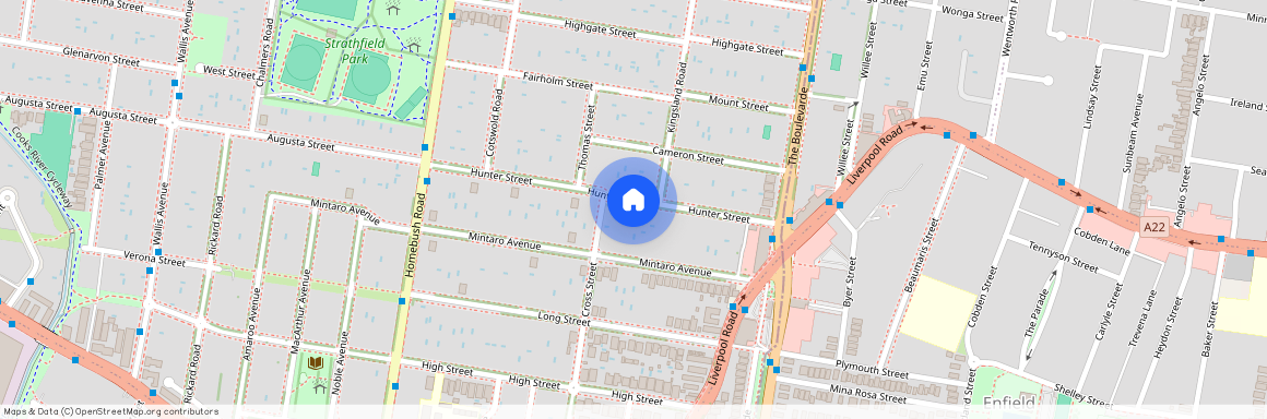 175 The Boulevarde Strathfield NSW 2135