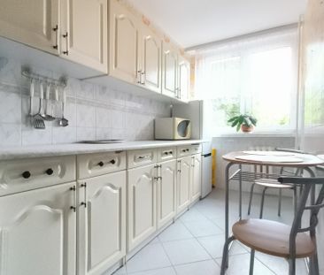 2-pokojowe mieszkanie na wynajem. - Photo 2