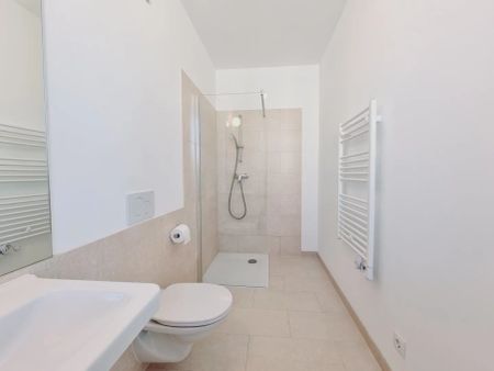 115 m² Penthouse mit 95 m² Terrassen – Top-Ausstattung, Sofortbezug - Foto 5