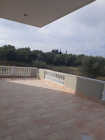 Μονοκατοικία για ενοικίαση Ελβετία (Θερμαϊκός) - Φωτογραφία 3