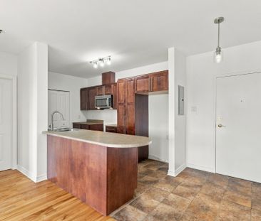 375 Boul. Marcel-Laurin, #210 - Photo 4