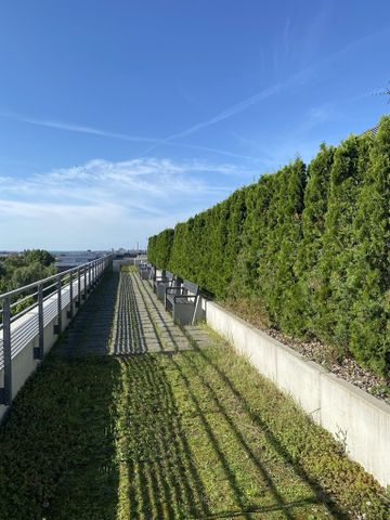 mieszkanie na wynajem Szczecin Centrum - Zdjęcie 3