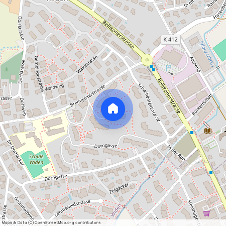 Bremgarterstrasse 25, 8967, Widen